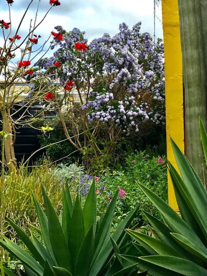 Sinclair Cottage ポートリンカーン エクステリア 写真